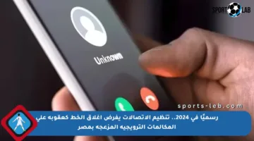 رسميًا في 2024.. تنظيم الاتصالات يفرض إغلاق الخط كعقوبة على المكالمات الترويجية المزعجة بمصر